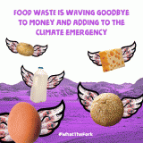 FoodWave-flying-food